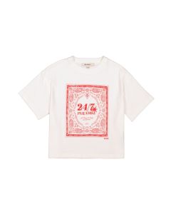 163263